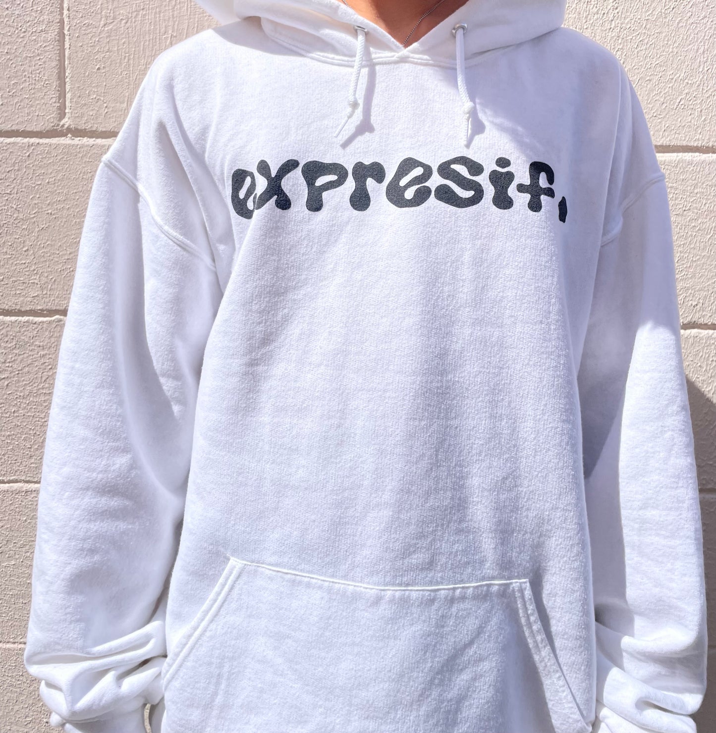 Classic Expresif hoodie